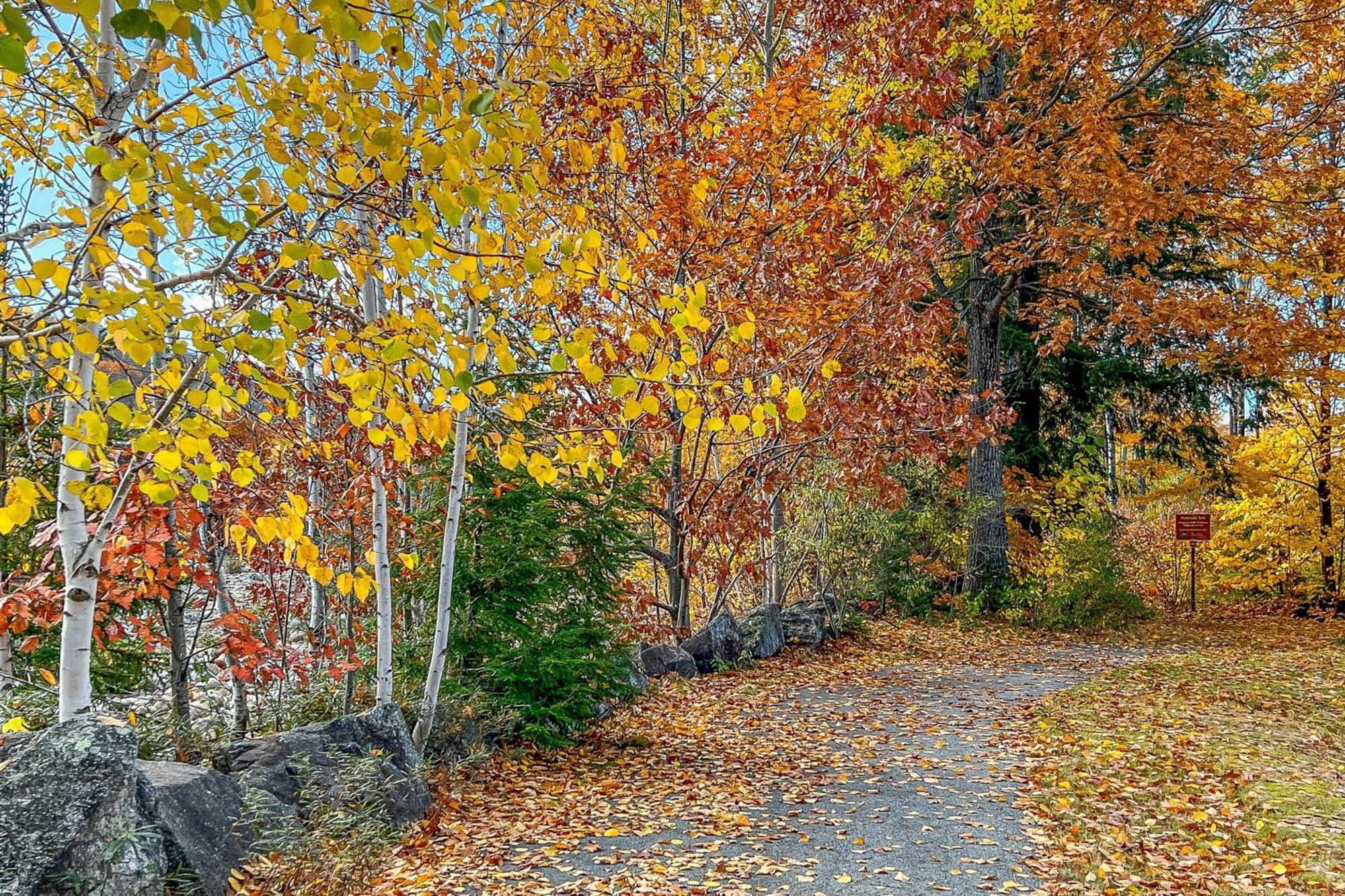 Autumn Colors Condo, Unit 215 Lincoln Esterno foto